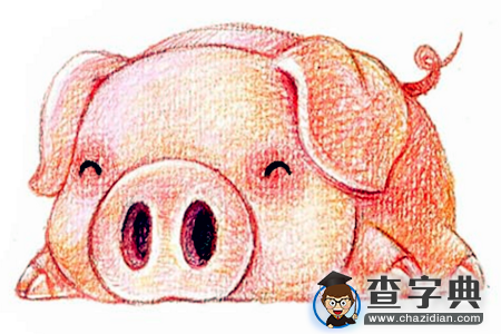 12生肖的吃醋表现—猪1