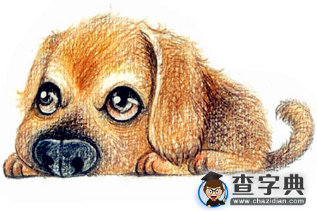 12生肖的吃醋表现—狗1