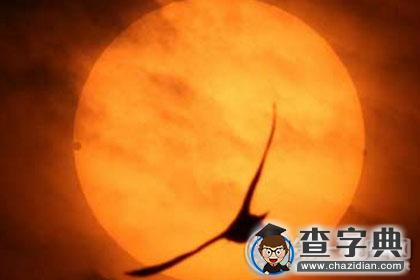 星盘合盘：太阳和金星相位分析1