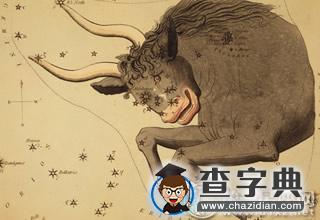 成不了大气候，12星座谁是温饱型老公5