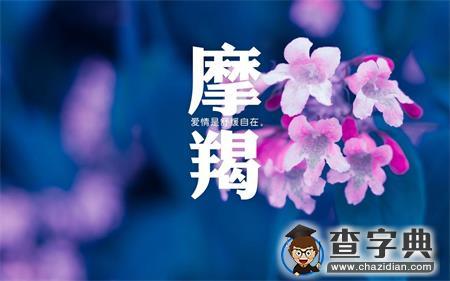 这些星男为何总遭遇失恋3
