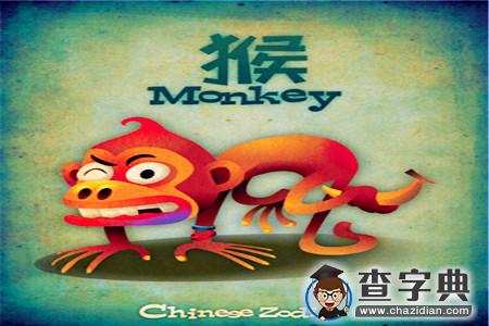 生肖猴君的理财致富之路1