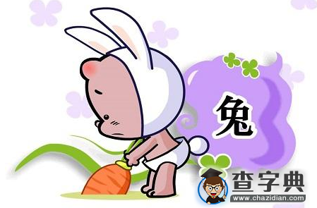 揭秘生肖兔的恋爱特点：生肖兔1