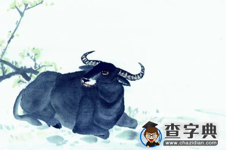 生肖牛什么年龄段有可能一夜暴富：牛1