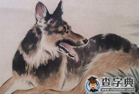 生肖狗年底前哪个月财运最好：生肖狗1