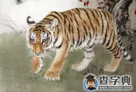 属虎男会拿什么爱你：属虎男1