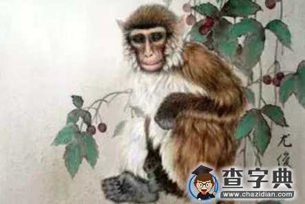 属猴男会拿什么爱你：属猴男1