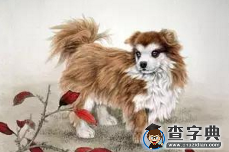 属狗男会拿什么爱你：属狗男1