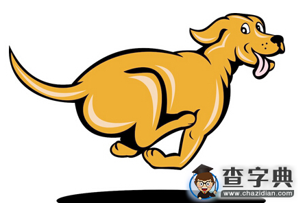 专属生肖狗的人的风水：生肖狗1